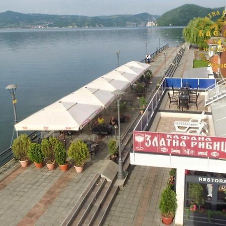 Zlatna Ribica Apartment Golubăţ Exterior foto