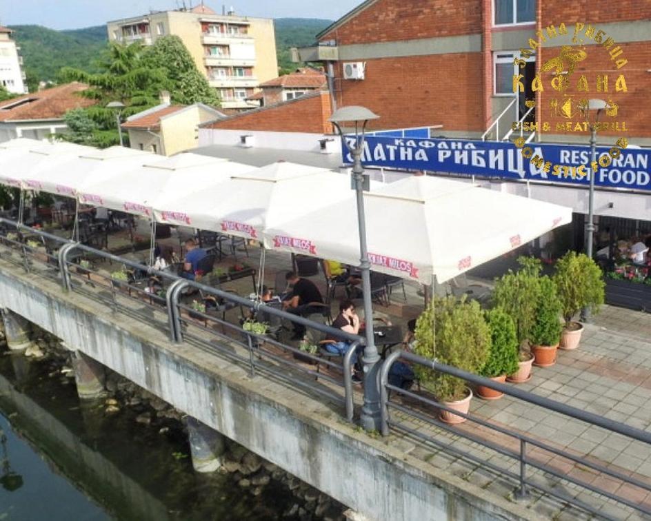 Zlatna Ribica Apartment Golubăţ Exterior foto