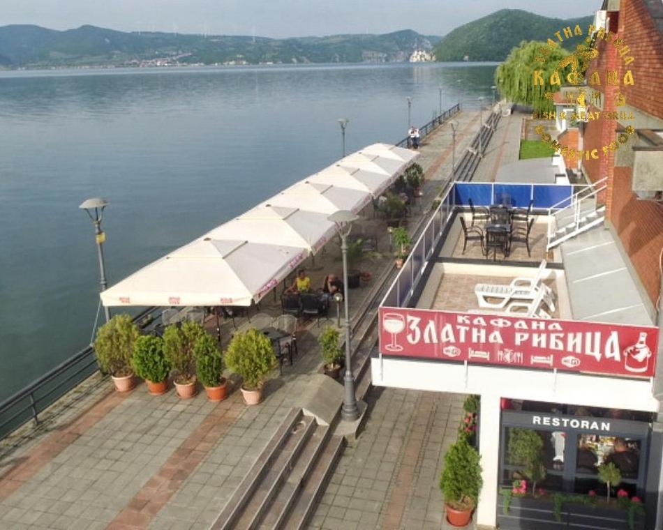 Zlatna Ribica Apartment Golubăţ Exterior foto