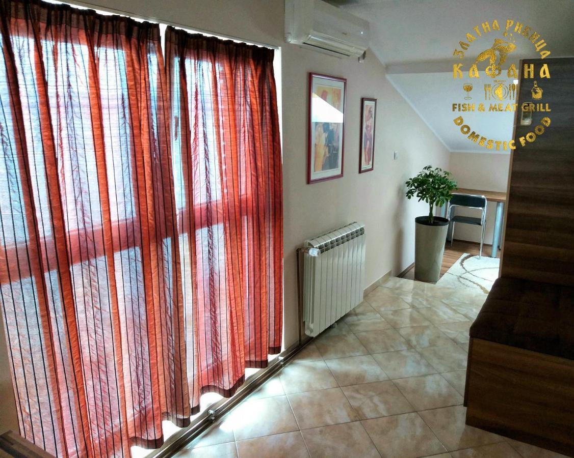 Zlatna Ribica Apartment Golubăţ Exterior foto
