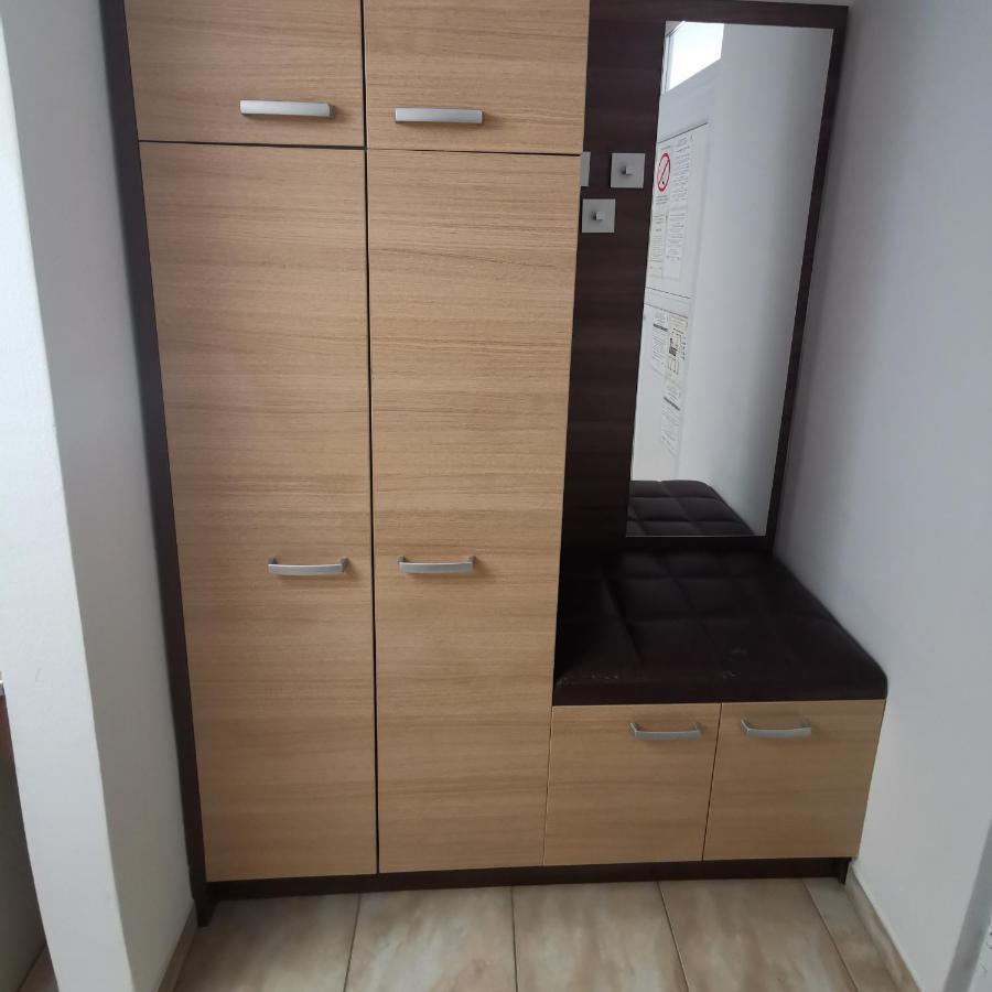 Zlatna Ribica Apartment Golubăţ Exterior foto
